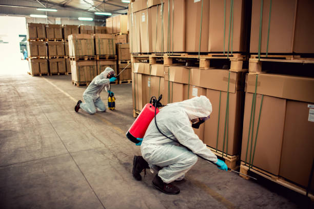 Best Best Pest Control Companies  in Twisp, WA