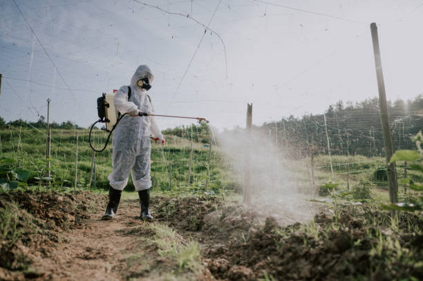 Best Mosquito Control Services  in Twisp, WA