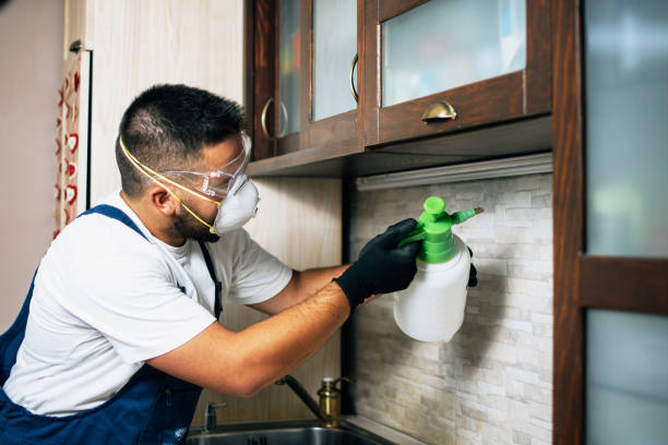 Best Insect Control  in Twisp, WA