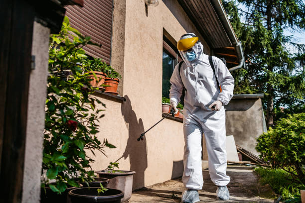 Best Residential Pest Control  in Twisp, WA