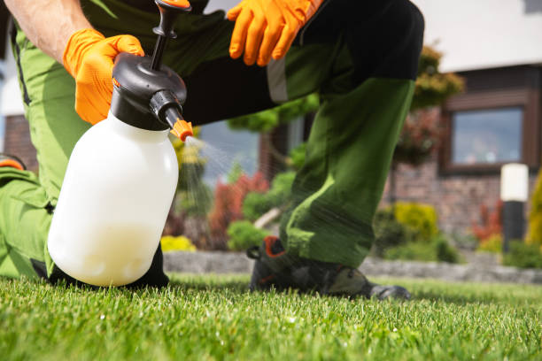 Best Wasp Removal Services  in Twisp, WA