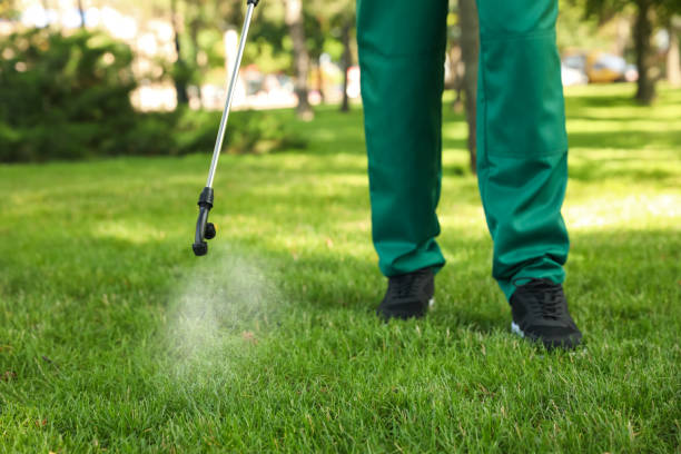 Best Ant Control Services  in Twisp, WA