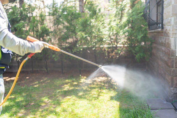 Best Best Pest Control Companies  in Twisp, WA