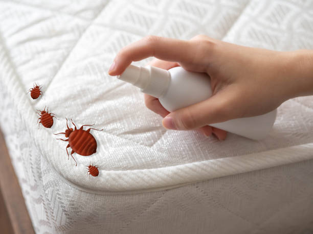 Best Pest Removal Services  in Twisp, WA