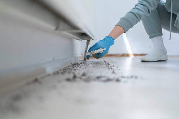 Best Local Pest Control Services  in Twisp, WA